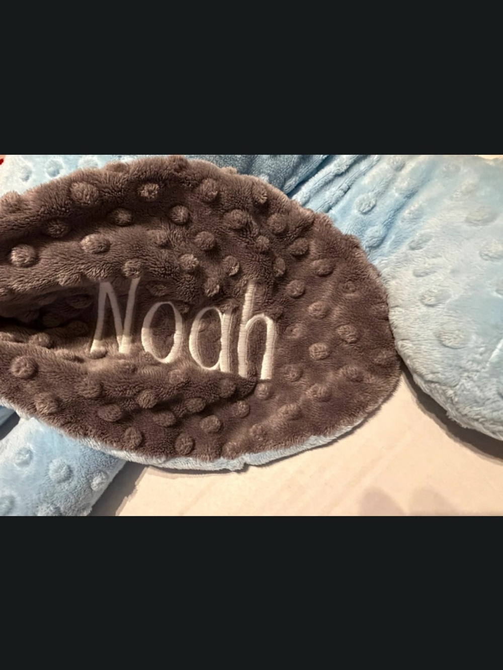 Ear-Resistible 16 inch Blue Minky Dot Plush Puppy  “Noah”